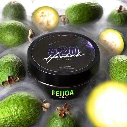 420 100g (Feijoa) Фейхоа