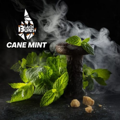 Табак для кальяну Black Burn 100g (Cane Mint) Перечная Мята