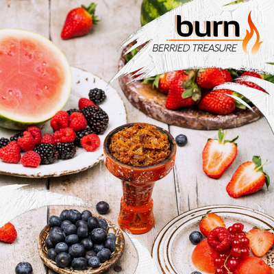 Табак для кальяну Burn 100g (Berried Treasure) Ягодное Путешествие