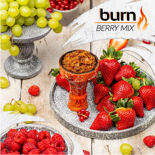 Табак для кальяна Burn 100g (Berry Mix) Ягодный Микс