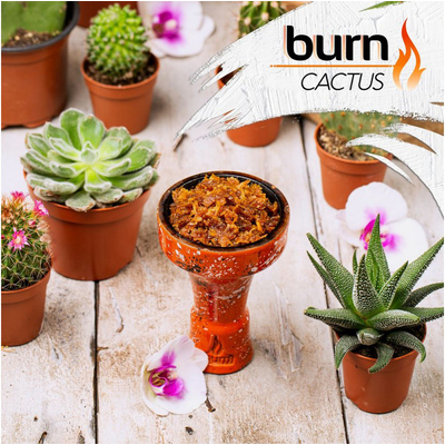 Табак для кальяна Burn 100g (Cactus) Кактус