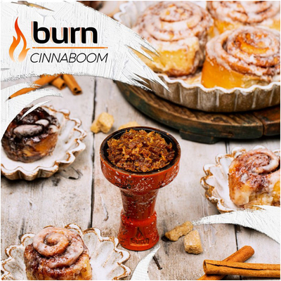 Табак для кальяну Burn 100g (Cinnaboom) Корица