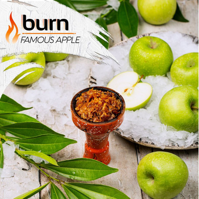 Табак для кальяну Burn 100g (Famous Apple) Легендарное Ледяное Яблоко