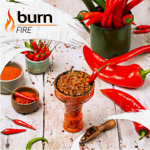 Табак для кальяну Burn 100g (Fire) Огонь