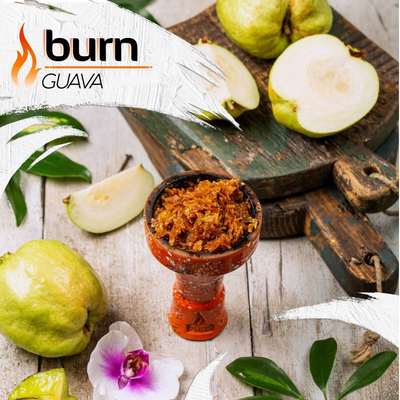 Табак для кальяна Burn 100g (Guava) Гуава