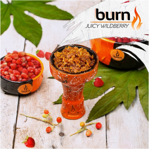 Табак для кальяну Burn 100g (Juicy Wildberry) Дикая Земляника