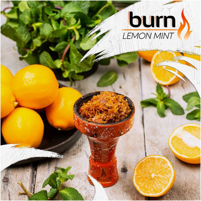 Табак для кальяну Burn 100g (Lemon Mint) Лимон мята