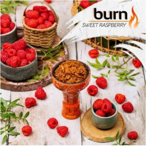 Табак для кальяну Burn 100g (Sweet Raspberry) Сочная Малина