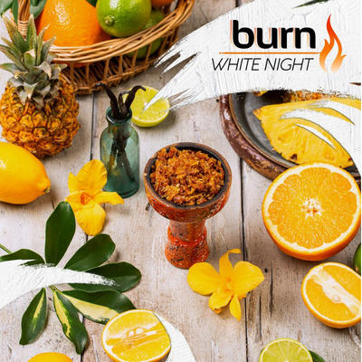 Табак для кальяна Burn 100g (White Night) Белая ночь