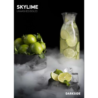 Табак для кальяну Dark Side 100g (Skyline)